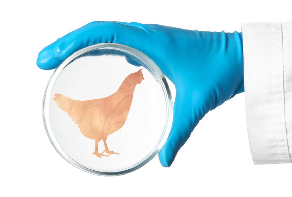 ASTAR_Alternative Proteins 100X675