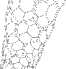 carbon nanotube