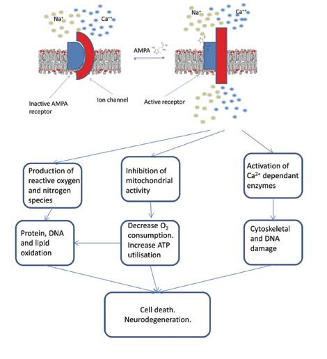 RS13_Dementia_Fig 1
