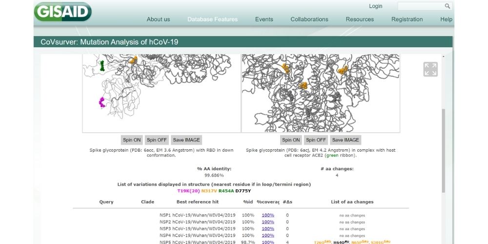 The Role of Bioinformatics During the Pandemic COVSURVER